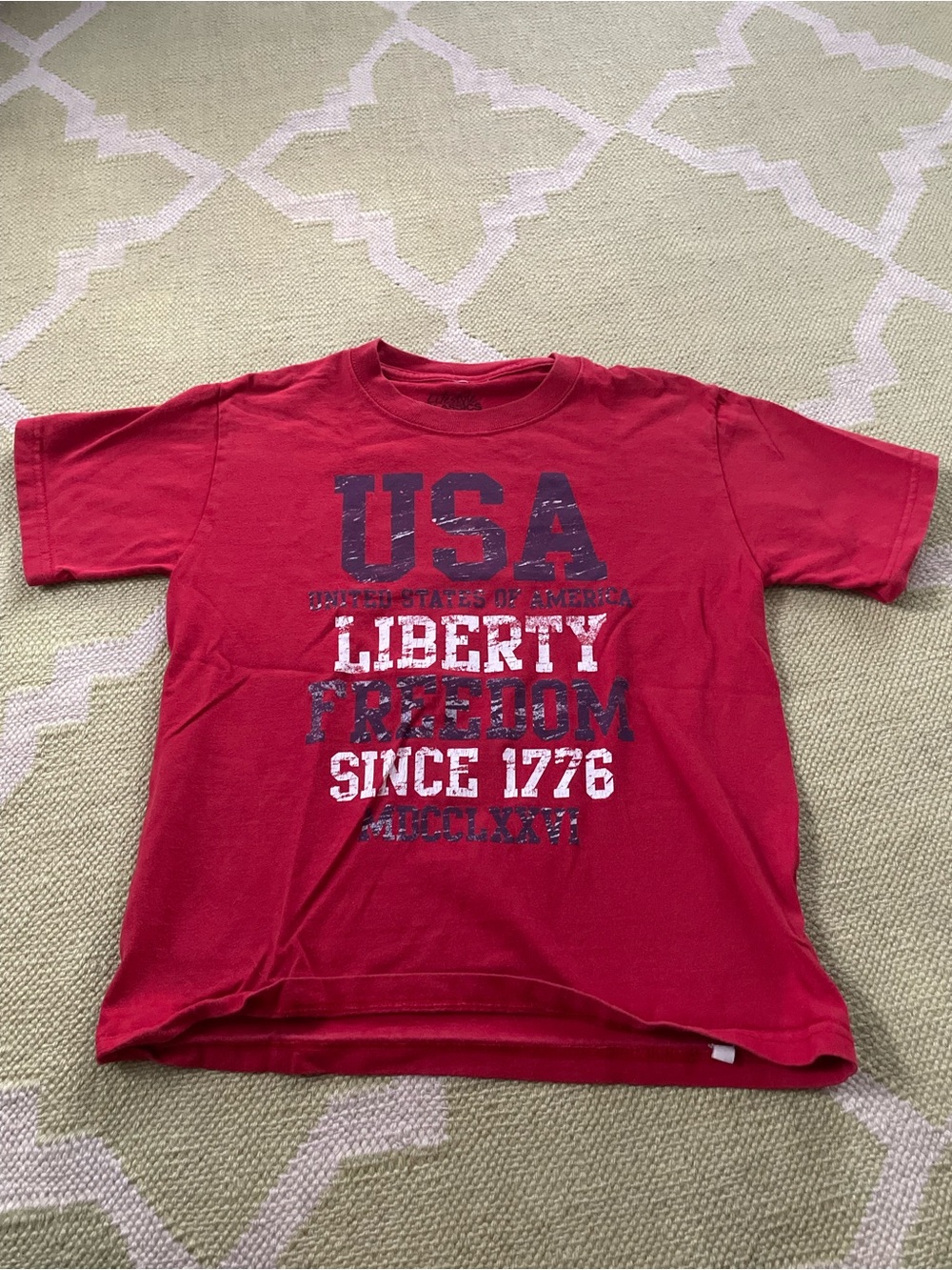 Boys Red USA Liberty Freedom Graphic Tee